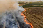 Wildfires in Europe: How does this affect your travel?